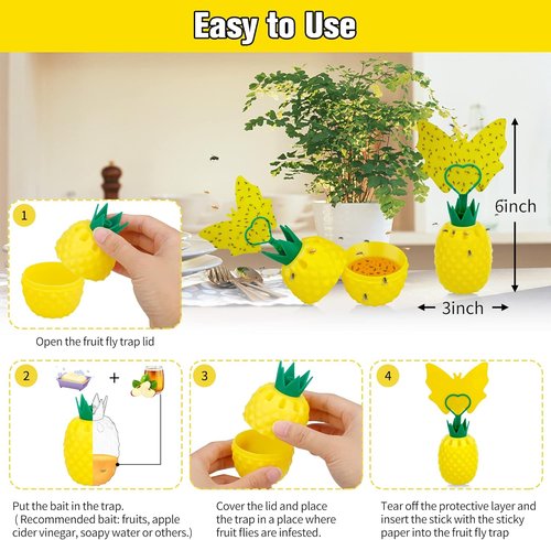 Fruit Fly Trap - Skiennix Effective Indoor Gnat Catcher with Non-Toxic Bait | 2 Pack