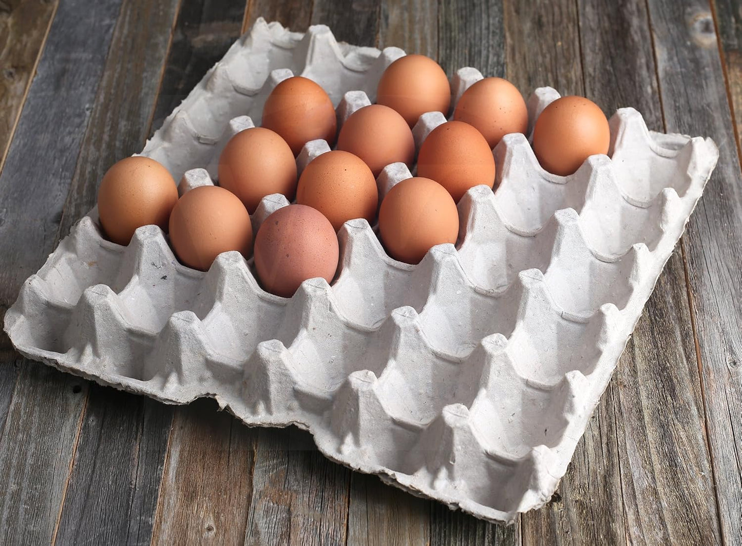 MT Products Egg Cartons - Durable Pulp Fiber Holds 30 Eggs | Pack of 15 - Made in the USA