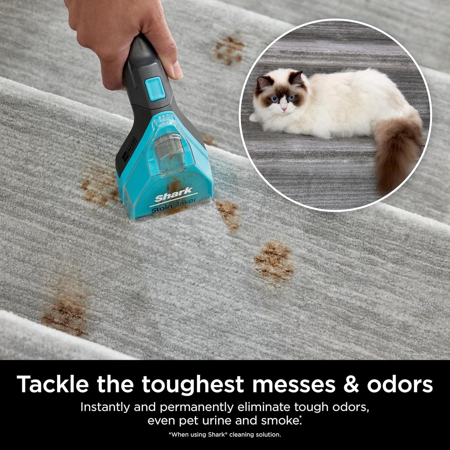Shark StainStriker OXY Carpet Cleaner - Odor Eliminator for All Carpets & Upholstery | 32oz