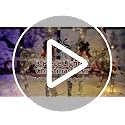 Rattan Lighted Christmas Deer Family Set - Indoor Outdoor Holiday Decoration - Brown - 4.5FT
