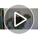 10FT Christmas Cedar Garland - Real Touch Faux Greenery Decor, Pack of 2