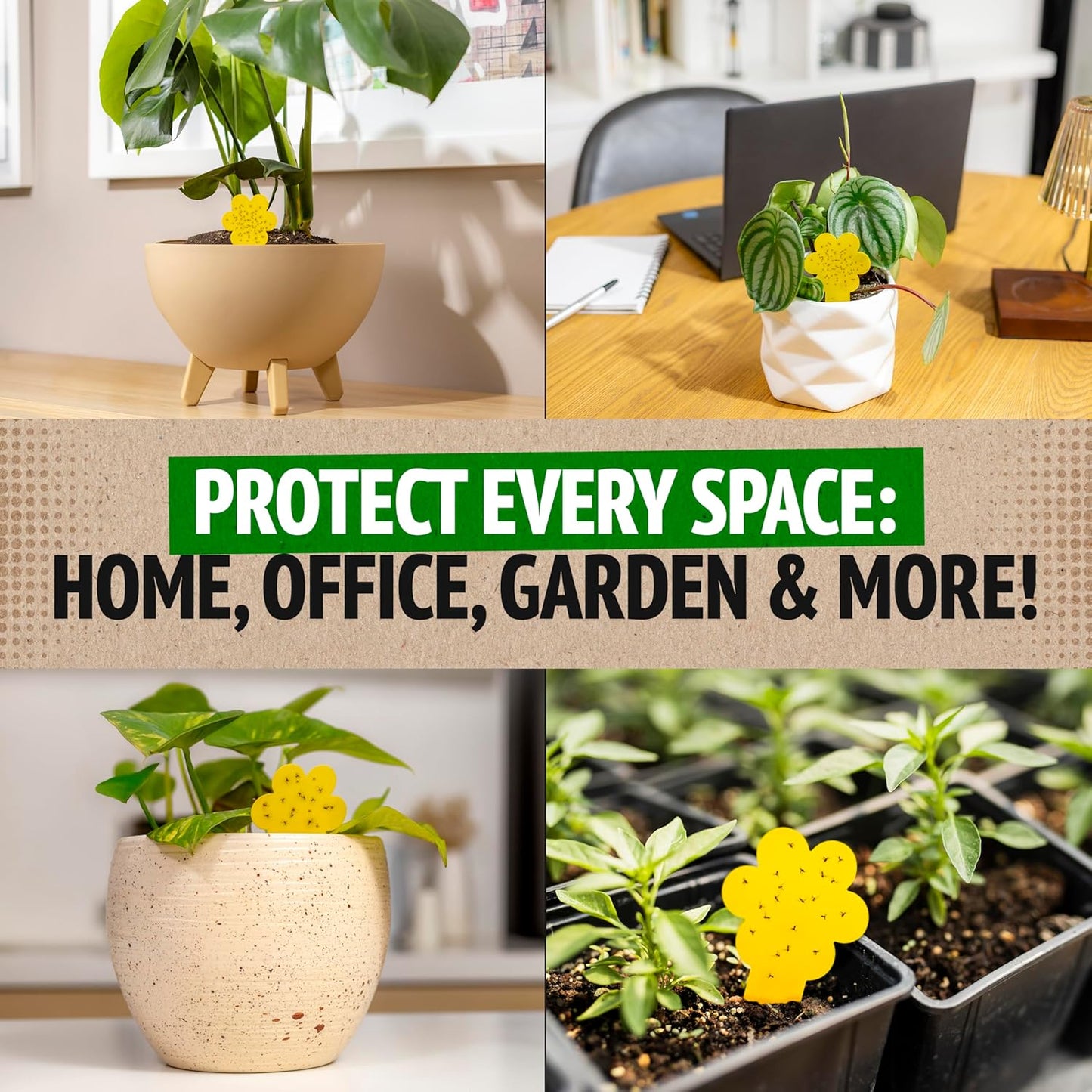 Super Ninja Fungus Gnat Traps - 30 Pack, Highly Effective Gnat Traps for House Indoor, Yellow Sticky Trap for Plants, Non-Toxic & Nature-Friendly, Up to 3 Months