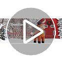 Highland Cow Inflatable Christmas Decor with LED Lights - Highland Calf Variation