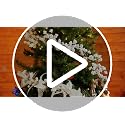 Christmas Red Berry Garland with Lights - 6 ft Battery-Operated Decor (Red / 1)