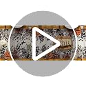 Halloween Table Runner 13x108 Inch Beige Brown Durable Polyester Home Decor
