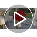 24.5-Inch Artificial Poinsettia Topiary Tree Set - Red, 2 Pack