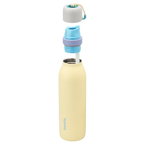 Insulated Stainless Steel Water Bottle 18oz with Twist Lid & Carry Loop