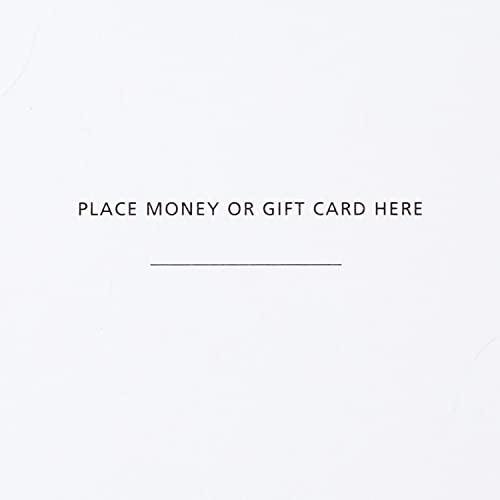 Air Wick Scented Oils 0+2 Blue Agave and Bamboo