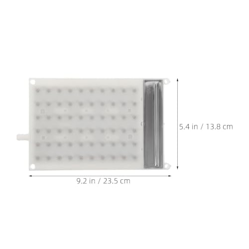 Rectangular Rain Shower Head with 60 Nozzle Plate - Durable Bathroom Fixture