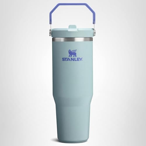 Stanley IceFlow 2.0 Flip Straw Tumbler with Handle 30 oz | Twist On Lid and Flip Up Straw | Leak Resistant Water Bottle | Insulated Stainless Steel | BPA-Free | Exclusive Blue Cactus