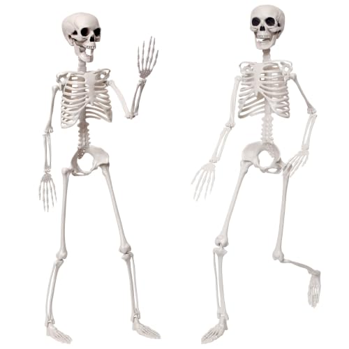 3Ft Life Size Posable Skeleton for Halloween Decorations - Realistic Full Body Design