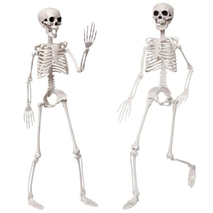 3Ft Life Size Posable Skeleton for Halloween Decorations - Realistic Full Body Design