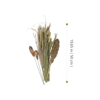 Dried Pampas Grass Decor Bundle for Living Room & Events