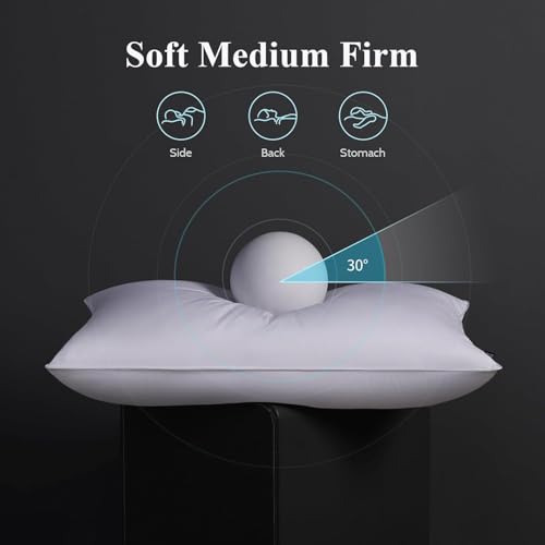 Queen Size Medium Firm Goose Down Pillows Set of 2 - Hotel Collection Bed Pillows