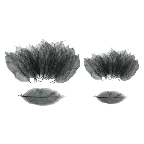 Skeleton Rubber Tree Leaves Set - Black, 200 Pieces, 7.9-9.4 & 5.9-7.1 Inches