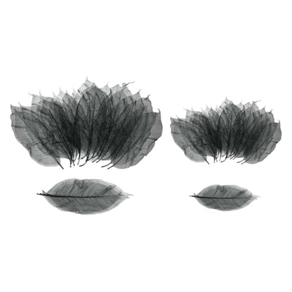 Skeleton Rubber Tree Leaves Set - Black, 200 Pieces, 7.9-9.4 & 5.9-7.1 Inches