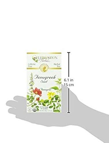 Celebration Herbals - Organic Caffeine Free Fenugreek Seed Herbal Tea - 48 Tea Bags (2 packs of 24)