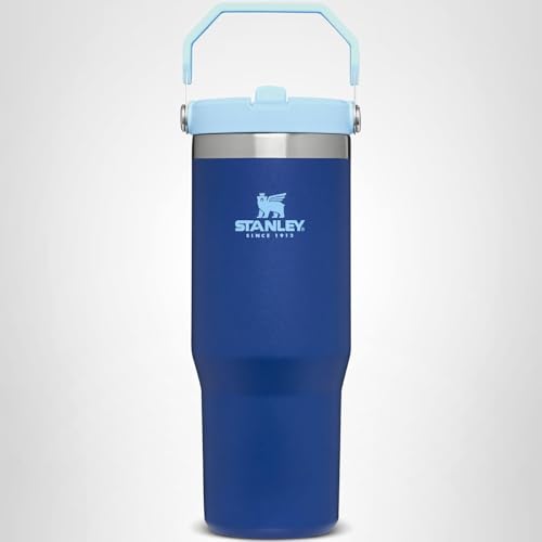 Stanley IceFlow Flip Straw Tumbler with Handle 20 oz | Twist On Lid and Flip Up Straw | Leak Resistant Water Bottle | Insulated Stainless Steel |BPA-Free | Lapis
