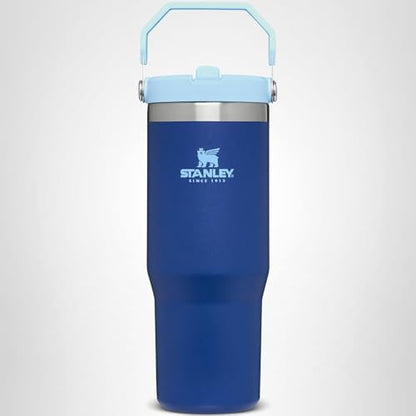 Stanley IceFlow Flip Straw Tumbler with Handle 20 oz | Twist On Lid and Flip Up Straw | Leak Resistant Water Bottle | Insulated Stainless Steel |BPA-Free | Lapis