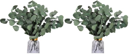Preserved Eucalyptus Stems 20PCS - Silver Dollar Leaves for Wedding & Home Decor (Green Style 02)