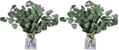Preserved Eucalyptus Stems 20PCS - Silver Dollar Leaves for Wedding & Home Decor (Green Style 02)