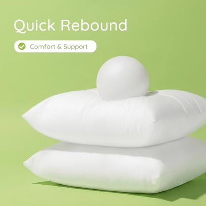 Ashler 18x18 Inch Hypoallergenic Pillow Insert Set of 1