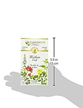 Celebration Herbals Organic Mullein Leaf Tea Caffeine Free - 2 Pack (48 Bags in Total)