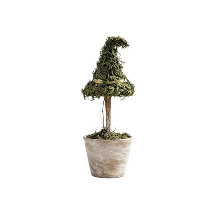 Halloween Witch Hat Moss Topiary Tree with Pot - Indoor Seasonal Decor