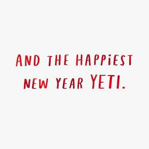 Hallmark and Venmo Christmas Card (Unbelievable Holiday) New Year Yeti