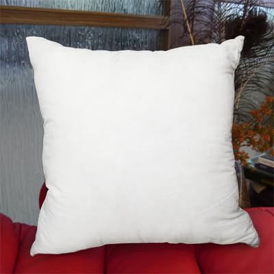 Dustproof Cotton Pillow Cover 22x22 Inch - Inner Shell with Zipper, Pack of 1