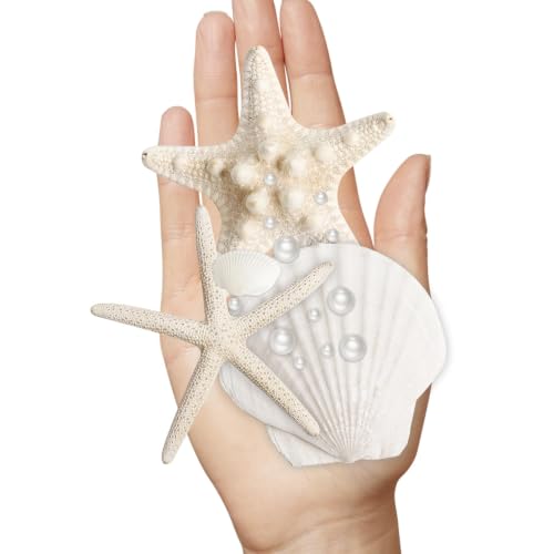 Seashells and Starfish Craft Supplies Set - 16 Pieces with Pearls and Clams