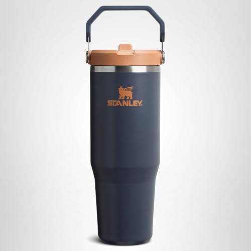 STANLEY IceFlow 2.0 Flip Straw Tumbler with Handle 20 oz | Twist On Lid and Flip Up Straw | Leak Resistant Water Bottle | Insulated Stainless Steel | BPA-Free | Twilight