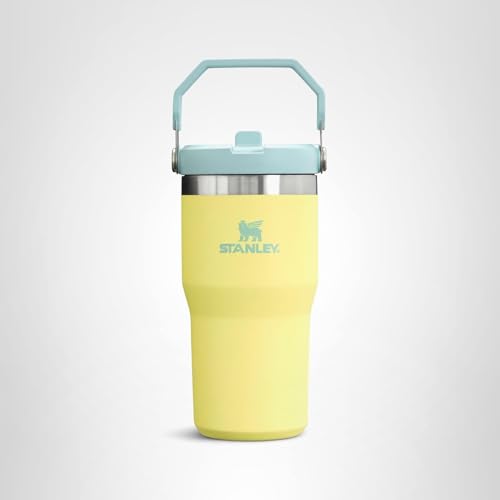 Stanley IceFlow Flip Straw Tumbler with Handle 20 oz | Twist On Lid and Flip Up Straw | Leak Resistant Water Bottle | Insulated Stainless Steel |BPA-Free | Pomelo