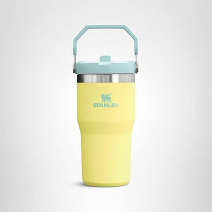 Stanley IceFlow Flip Straw Tumbler with Handle 20 oz | Twist On Lid and Flip Up Straw | Leak Resistant Water Bottle | Insulated Stainless Steel |BPA-Free | Pomelo