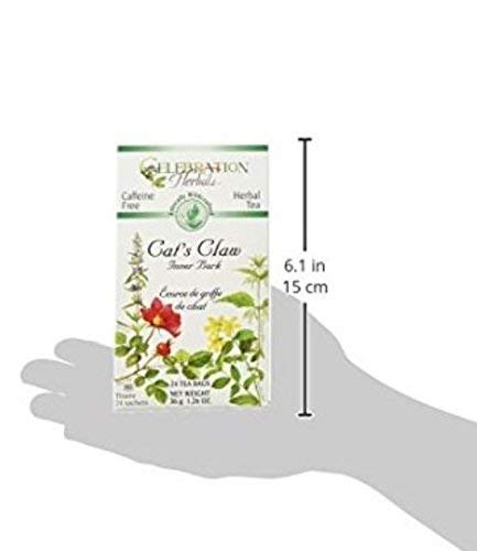 Celebration Herbals Cats Claw Inner Bark, 48 Herbal Tea Bags (2 packs of 24)