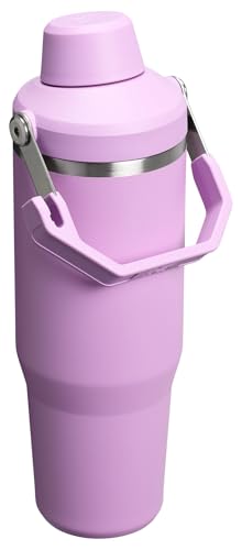 Stanley IceFlow 2.0 Fast Flow Tumbler with Handle 30 oz | Twist On Angled Spout Lid | Leakproof Water Bottle | Insulated Stainless Steel | BPA-Free | Lilac