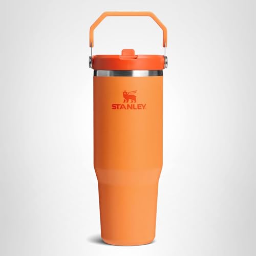 STANLEY IceFlow 2.0 Flip Straw Tumbler with Handle 30 oz | Twist On Lid and Flip Up Straw | Leak Resistant Water Bottle | Insulated Stainless Steel | BPA-Free | Goldenrod Coral