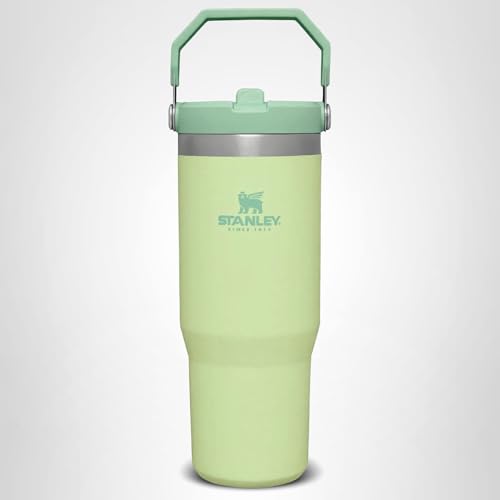 Stanley IceFlow Flip Straw Tumbler with Handle 30 oz | Twist On Lid and Flip Up Straw | Leak Resistant Water Bottle | Insulated Stainless Steel |BPA-Free | Citron
