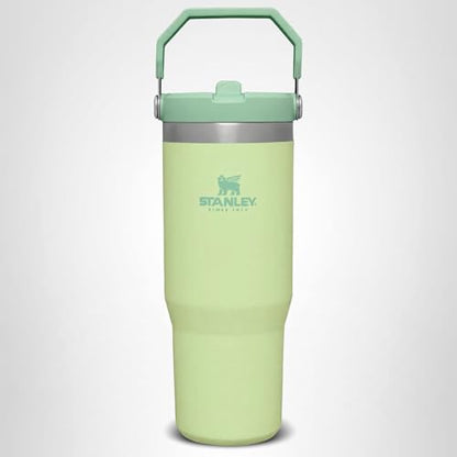 Stanley IceFlow Flip Straw Tumbler with Handle 30 oz | Twist On Lid and Flip Up Straw | Leak Resistant Water Bottle | Insulated Stainless Steel |BPA-Free | Citron
