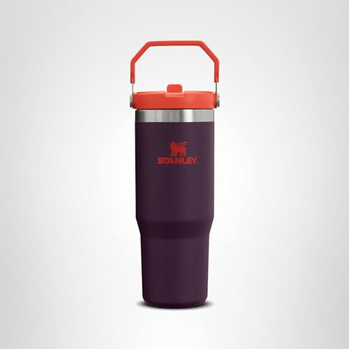 Stanley IceFlow Flip Straw Tumbler with Handle 30 oz | Twist On Lid and Flip Up Straw | Leak Resistant Water Bottle | Insulated Stainless Steel |BPA-Free | Plum
