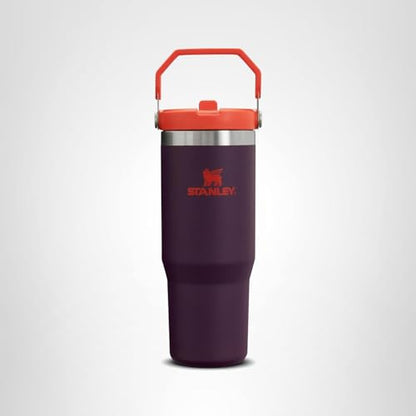 Stanley IceFlow Flip Straw Tumbler with Handle 30 oz | Twist On Lid and Flip Up Straw | Leak Resistant Water Bottle | Insulated Stainless Steel |BPA-Free | Plum