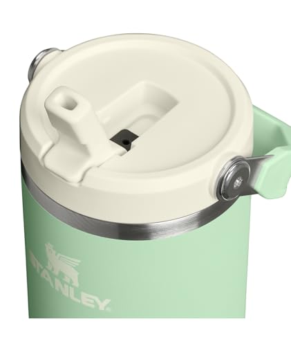 STANLEY IceFlow 2.0 Flip Straw Tumbler with Handle 30 oz | Twist On Lid and Flip Up Straw | Leak Resistant Water Bottle | Insulated Stainless Steel | BPA-Free | Pistachio