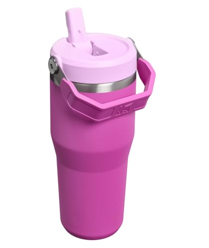 STANLEY IceFlow 2.0 Flip Straw Tumbler with Handle 14 oz | Twist On Lid and Flip Up Straw | Leakproof Water Bottle | Insulated Stainless Steel | BPA-Free | Dark Blossom