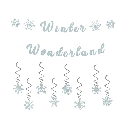 Winter Wonderland Party Banner & Snowflake Decorations Set