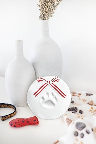 Pet Paw Print Ornament Kit - 2-Pack Holiday Christmas Keepsake Craft for Dogs & Cats - Satin Ribbon Included