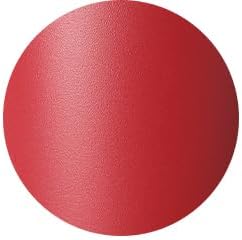 Swig Life 20oz Insulated Water Bottle - Travel-Friendly Design with Straw & Lid | Matte Crimson