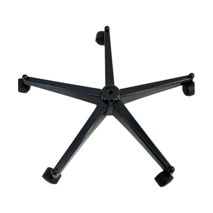 170cm Human Skeleton Model Base with Casters for Anatomy Education and Demonstrations