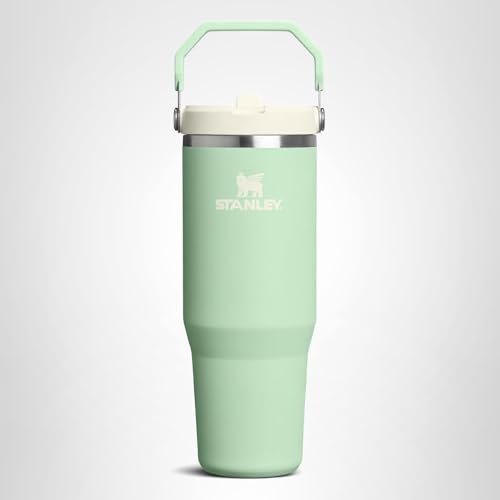 STANLEY IceFlow 2.0 Flip Straw Tumbler with Handle 30 oz | Twist On Lid and Flip Up Straw | Leak Resistant Water Bottle | Insulated Stainless Steel | BPA-Free | Pistachio