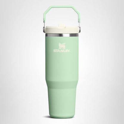 STANLEY IceFlow 2.0 Flip Straw Tumbler with Handle 30 oz | Twist On Lid and Flip Up Straw | Leak Resistant Water Bottle | Insulated Stainless Steel | BPA-Free | Pistachio