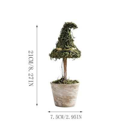 Halloween Witch Hat Moss Topiary Tree with Pot - Indoor Seasonal Decor